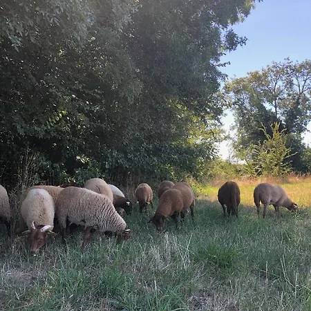 Farmház La Ferme De Russe