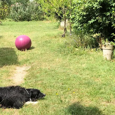 La Ferme De Russé * Allonnes (Maine-et-Loire)