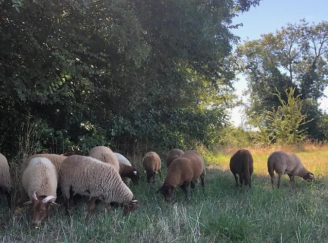 Alloggio per agriturismo La Ferme De Russé