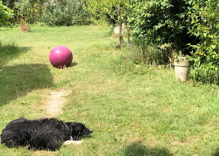 La Ferme De Russe * Allonnes (Maine-et-Loire)