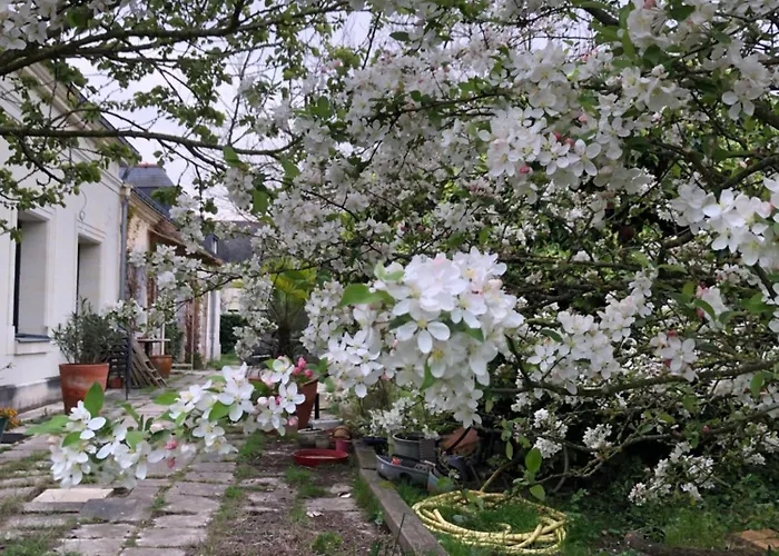 La Ferme De Russé Allonnes (Maine-et-Loire)